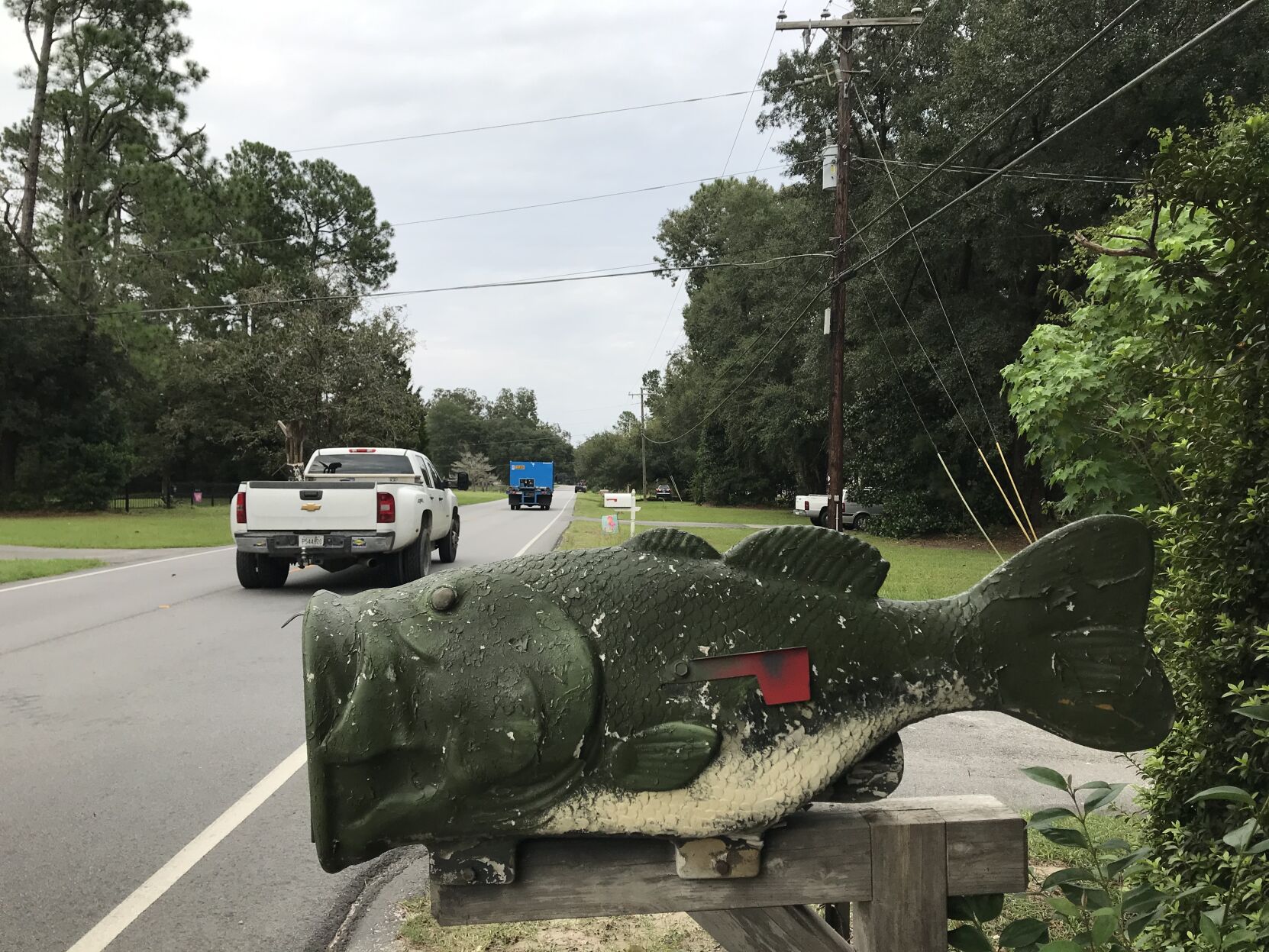 Fish mailbox